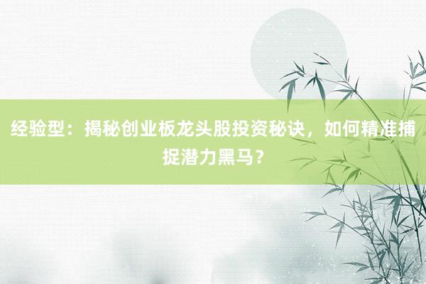 经验型：揭秘创业板龙头股投资秘诀，如何精准捕捉潜力黑马？