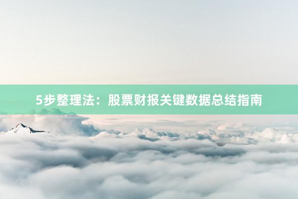 5步整理法：股票财报关键数据总结指南