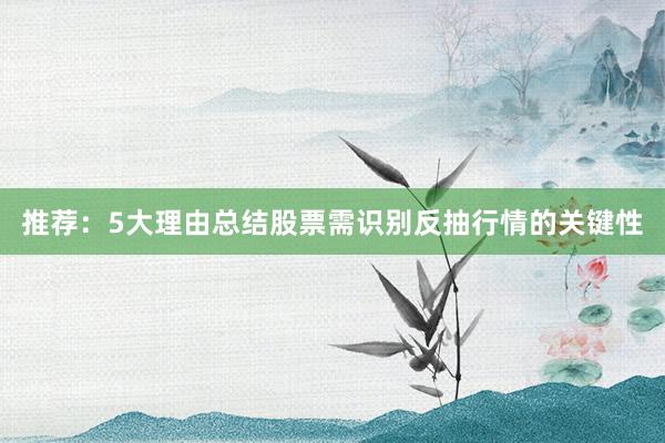 推荐：5大理由总结股票需识别反抽行情的关键性